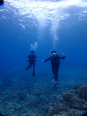 石垣島　体験ダイビング